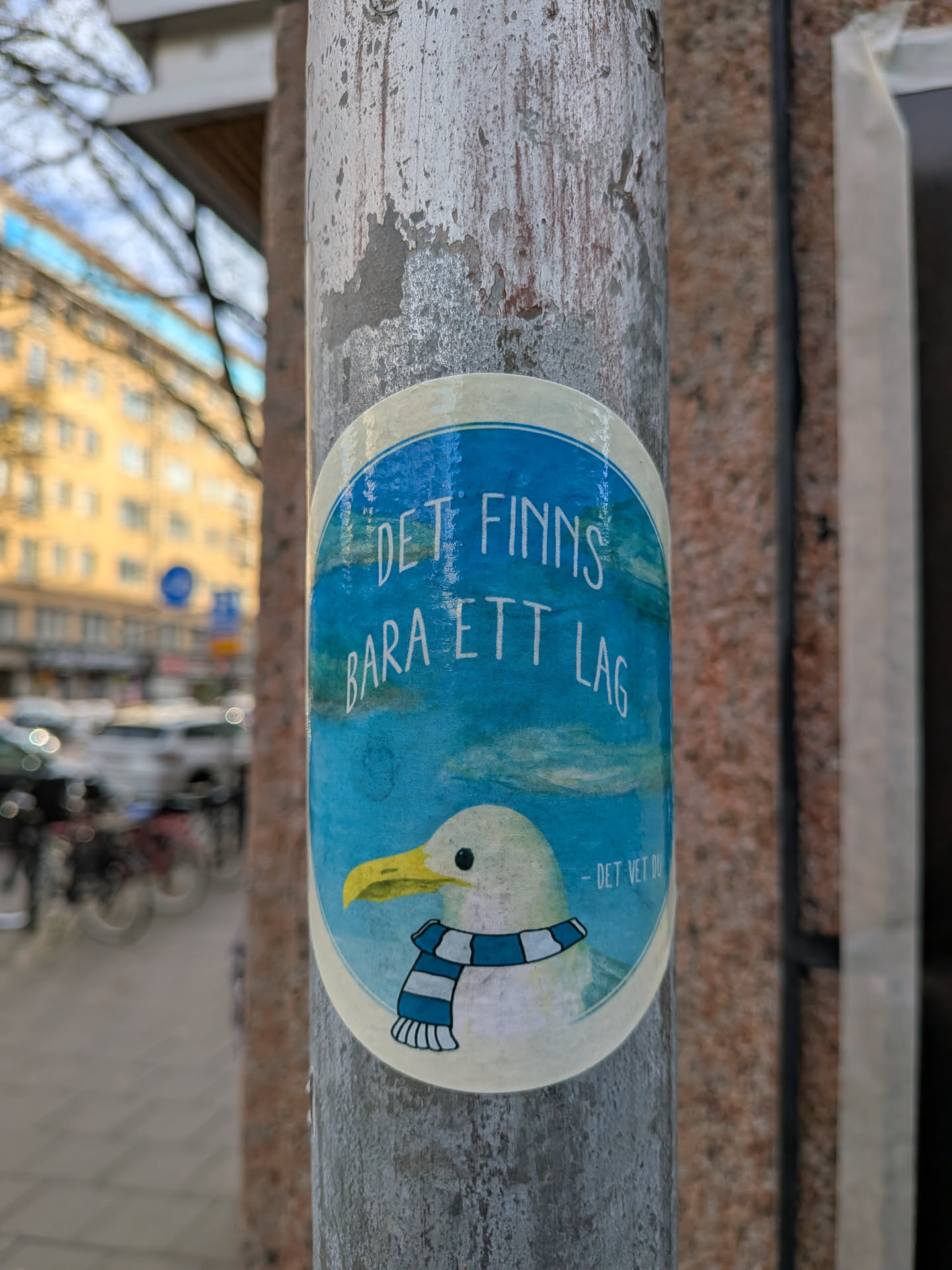The sticker is oval-shaped with a light blue background that has a watercolor-like texture, suggesting a sky or water scene. In the center is a cartoonish white seagull with a yellow beak and a black eye. It is wearing a blue and white striped scarf. Above the seagull, in white, sans-serif text, are the words 'DET FINNS BARA ETT LAG'. To the right of the seagull, also in white text, is '- DET VET DU'. The sticker has a white border with a thin blue outline.