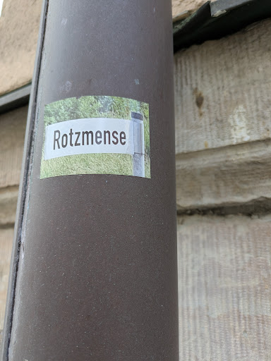 Street sticker A sticker with the text "Rotzmenise" is placed on a metal pole. The text is printed on a white sign-like shape against a blurry background of greenery.