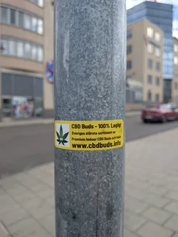 Street sticker A rectangular yellow sticker affixed to a metal pole. The left side features a green cannabis leaf icon on a white square. The right side contains Swedish text advertising CBD buds and a website URL.