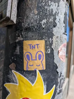 Street sticker A rectangular gold sticker with rounded corners featuring a hand-drawn purple illustration of a sleeping bunny's head. The text 'TNT' is written in purple marker above the character.