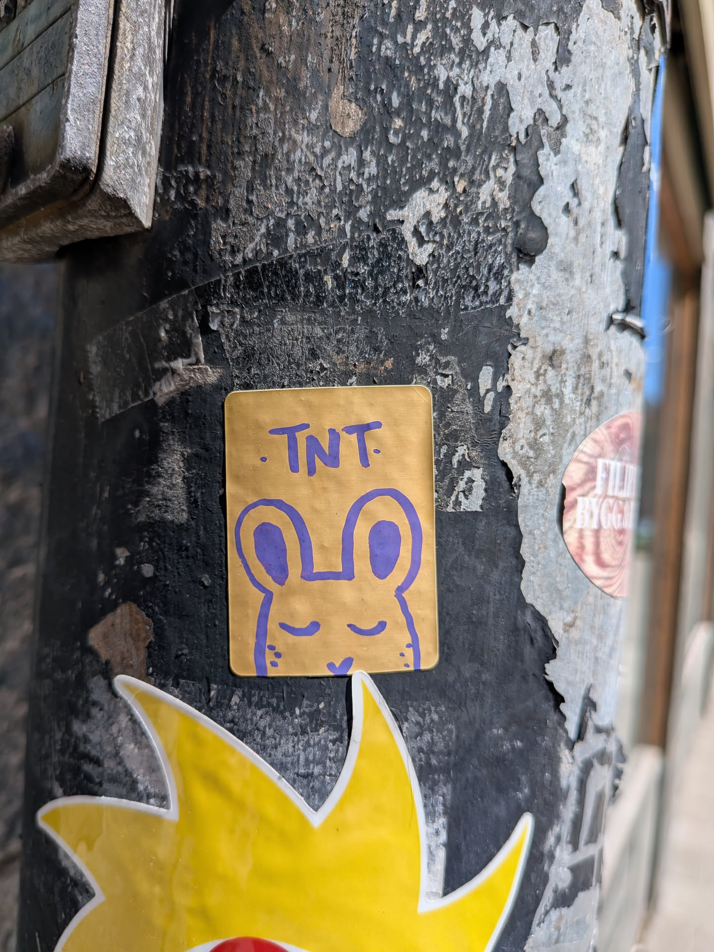 A rectangular gold sticker with rounded corners featuring a hand-drawn purple illustration of a sleeping bunny's head. The text 'TNT' is written in purple marker above the character.
