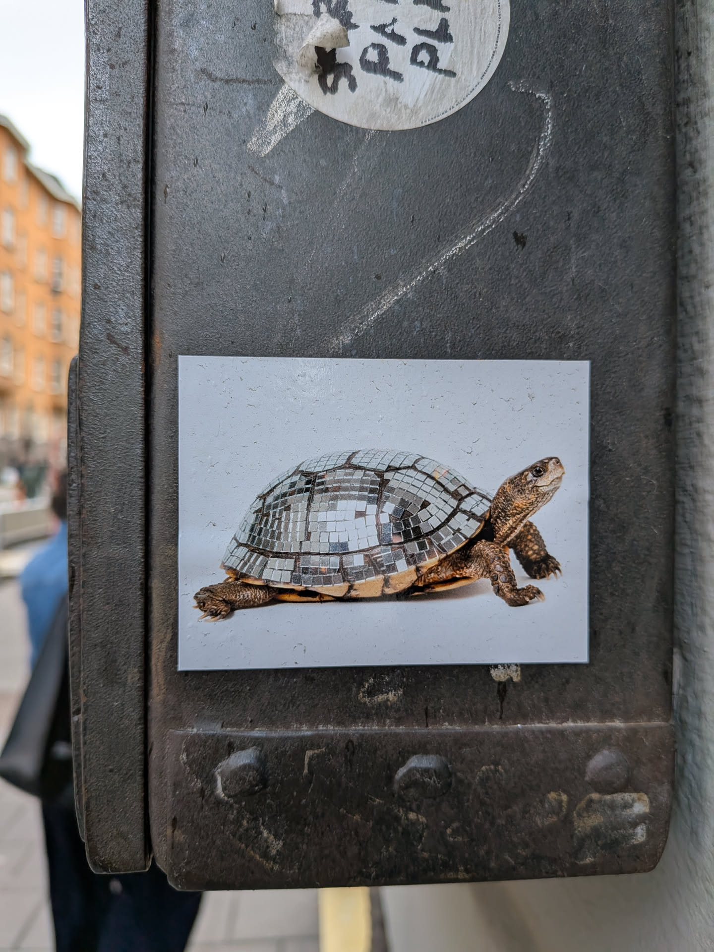 The sticker features a photograph of a turtle in profile, facing right. Its shell is entirely covered with small, square, reflective mirror tiles, giving it the appearance of a disco ball. The turtle's head, legs, and tail are visible, showcasing typical reptilian skin texture in shades of brown and tan. The background of the image on the sticker is a plain, light grey or off-white color, providing a stark contrast to the detailed turtle. The sticker itself is rectangular with clean edges, adhered to a dark, textured metal surface.