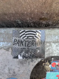 Street sticker The sticker is divided into sections with alternating black and white patterns. The word "BAKTERIUM" is written across the center section in a stencil-like font. The patterns include wavy lines, checkered patterns, and other abstract designs.
