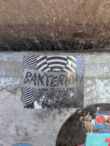 The sticker is divided into sections with alternating black and white patterns. The word "BAKTERIUM" is written across the center section in a stencil-like font. The patterns include wavy lines, checkered patterns, and other abstract designs.