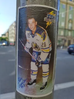Street sticker This sticker shows a photo of Ricky Sallinen, a hockey player, wearing a jersey with the number 28.  The team logo is visible as well as sponsors like Volkswagen and Hyundai. It has an autograph in the lower left corner.