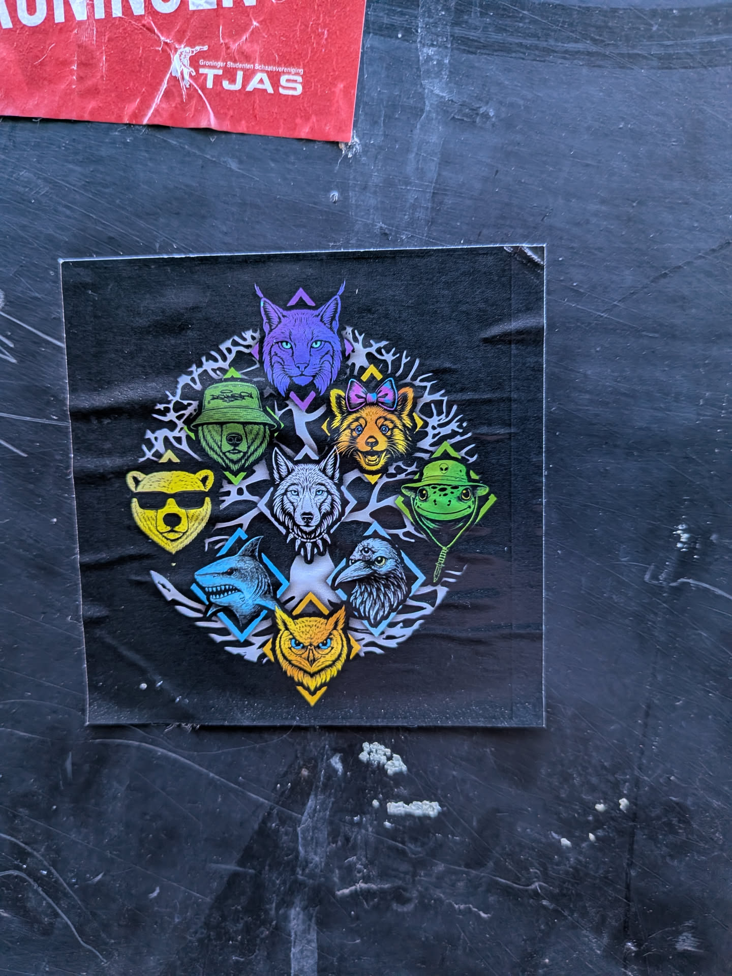 Street sticker The sticker is square, predominantly black, featuring a circular arrangement of eight distinct, stylized animal heads. Each animal is rendered in bright, often neon, colors against a white, intricate, organic, and somewhat skeletal background pattern that forms the circular frame. In the center of the circle is a white wolf with blue eyes and a spiked collar. Clockwise from the top, the animals include a purple lynx with pointed ears, an orange fox with a pink and blue bow, a green frog wearing a green bucket hat adorned with an alien symbol, a dark blue/grey raven or crow, a yellow owl with bright blue eyes, a light blue shark, a yellow bear wearing black sunglasses, and another green bear wearing a green bucket hat. Geometric shapes like triangles and chevrons in various colors (purple, yellow, green, blue) are integrated into the design, often highlighting or framing the individual animal portraits. The overall aesthetic is modern, colorful, and edgy.