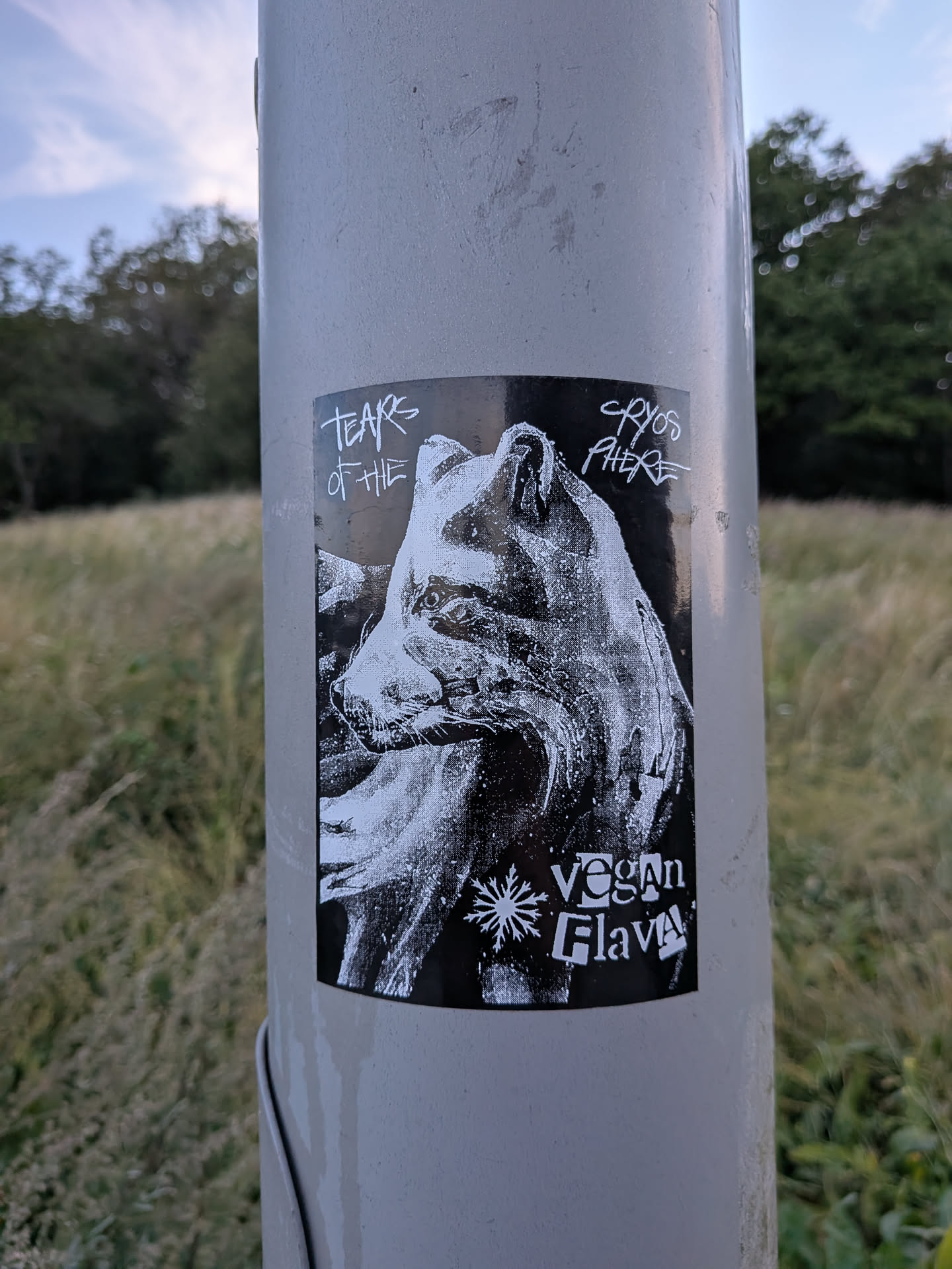 A rectangular black sticker featuring a high-contrast white graphic of a polar bear's head. Stylized white text reads 'TEARS OF THE CRYOSPHERE' at the top and 'VEGAN FLAVA' with a snowflake icon at the bottom.
