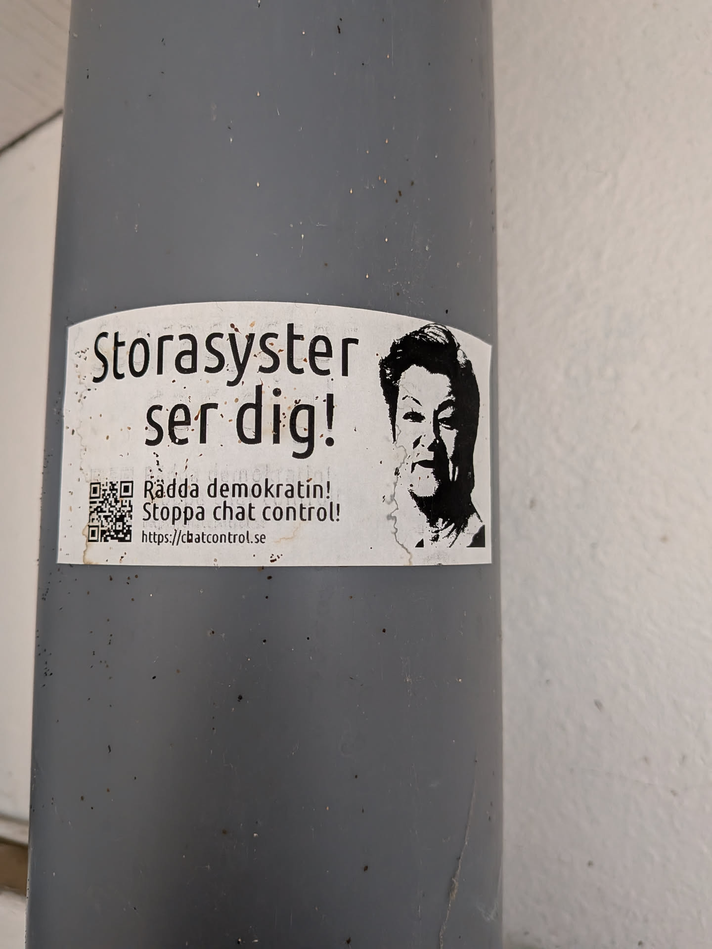White rectangular sticker on a grey pole. Features a high-contrast black portrait of a woman on the right and Swedish text on the left warning 'Big Sister is watching you!', protesting 'chat control' with a QR code and URL.