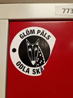 Street sticker A round black and white sticker on a red surface. It features a stylized fox and the text "Glöm päls odla skägg" which translates from Swedish to "Forget fur grow a beard". The sticker is slightly torn at the bottom.