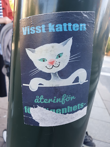 Street sticker Visst katten &aring;terinf&ouml;r enhets