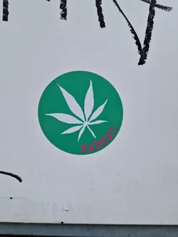 Street sticker The sticker features a stylized marijuana leaf on a green circular background.  The word "ASBEST" is written underneath the leaf in a pink, stylized font. The sticker is affixed to a white surface with some markings or graffiti visible in the background.