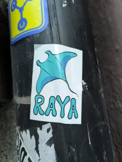 Street sticker The sticker features a stylized, bright turquoise manta ray with darker turquoise accents on its fins and tail. It is depicted from a slightly angled top-down perspective, appearing to swim. Below the manta ray, the word "RAYA" is written in bubbly, light blue letters with a darker blue outline. The sticker has a white background and appears to be made of vinyl or a similar material.