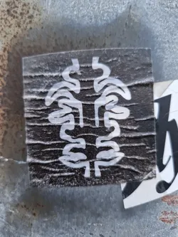 Street sticker A square dark-colored sticker with a white abstract design. The design is reminiscent of a stylized plant or brain, with symmetrical, organic shapes. The sticker is slightly wrinkled and adhered to a textured surface.