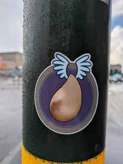 Street sticker The sticker is circular, featuring a prominent white and light gray outer border. Inside, there's a dark purple ring enclosing a lighter purple inner circle. Dominating the center is a large, light brown, tear-drop-shaped figure. This figure is notable for a distinct human-like nipple on its upper-right side. From the top of the tear drop, two stylized wings extend outwards, crossing over the purple rings and touching the outer border. These wings are white with light blue outlines. The entire sticker, like the dark green pole it's affixed to, is covered in small water droplets, indicating a wet environment.