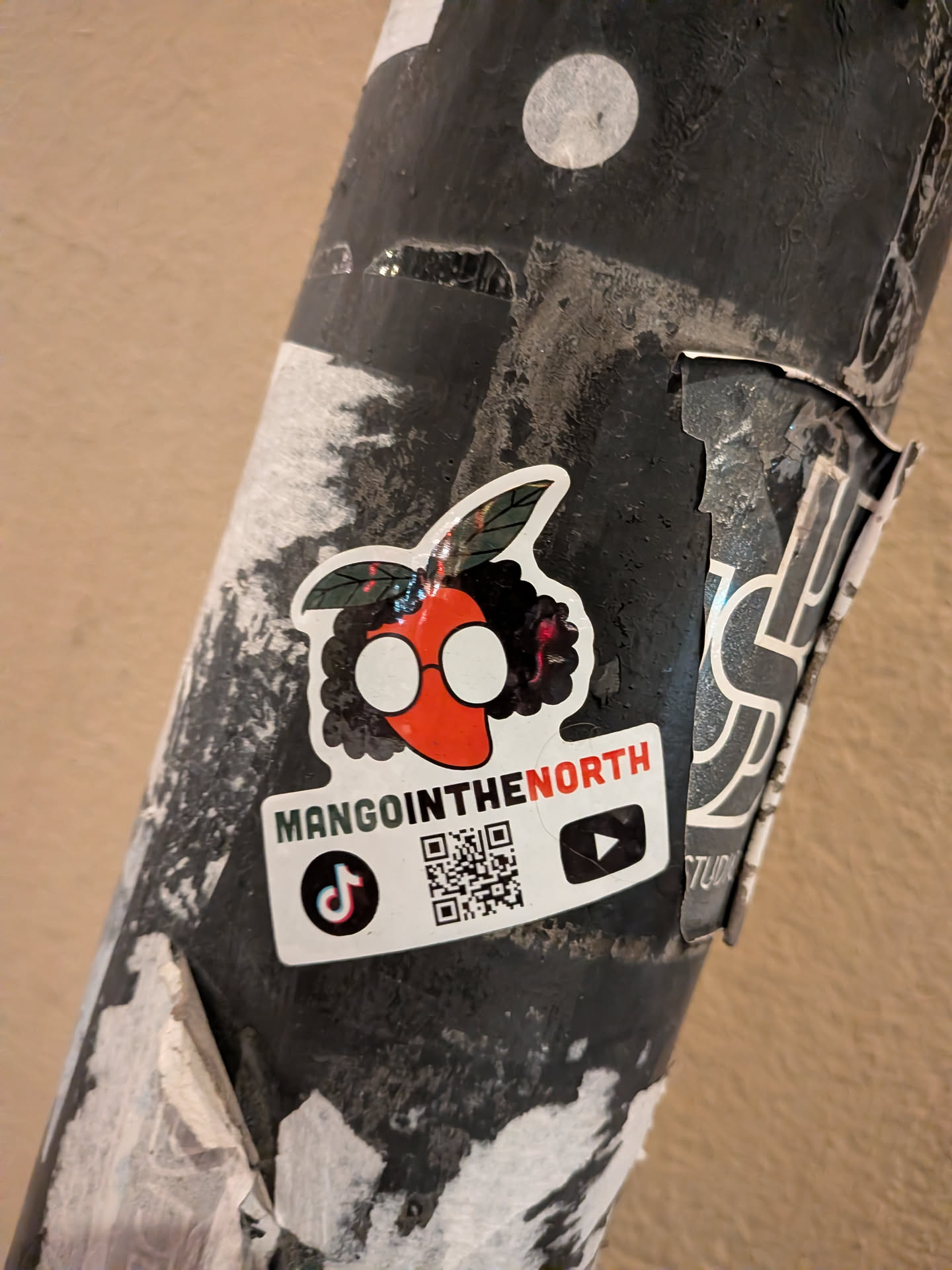 The sticker features a stylized cartoon character that resembles a mango. The mango is bright orange with a red stem and two green leaves at the top. It has a black, curly afro hairstyle and is wearing round, white-rimmed glasses. Below the character, a white rectangular banner contains the text 'MANGOINTHENORTH' in black capital letters. To the left of the text is a TikTok logo, and to the right is a YouTube play button logo. A QR code is centrally located below the text and between the social media icons. The sticker has a white border and appears to be slightly glossy.