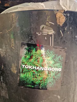 Street sticker The sticker has a background of vibrant green ferns with hints of red. Overlaying the image is the text "TOKHANG GONG" in white, bold letters. The sticker is placed on a dark, possibly metal, surface that has signs of wear and discoloration.