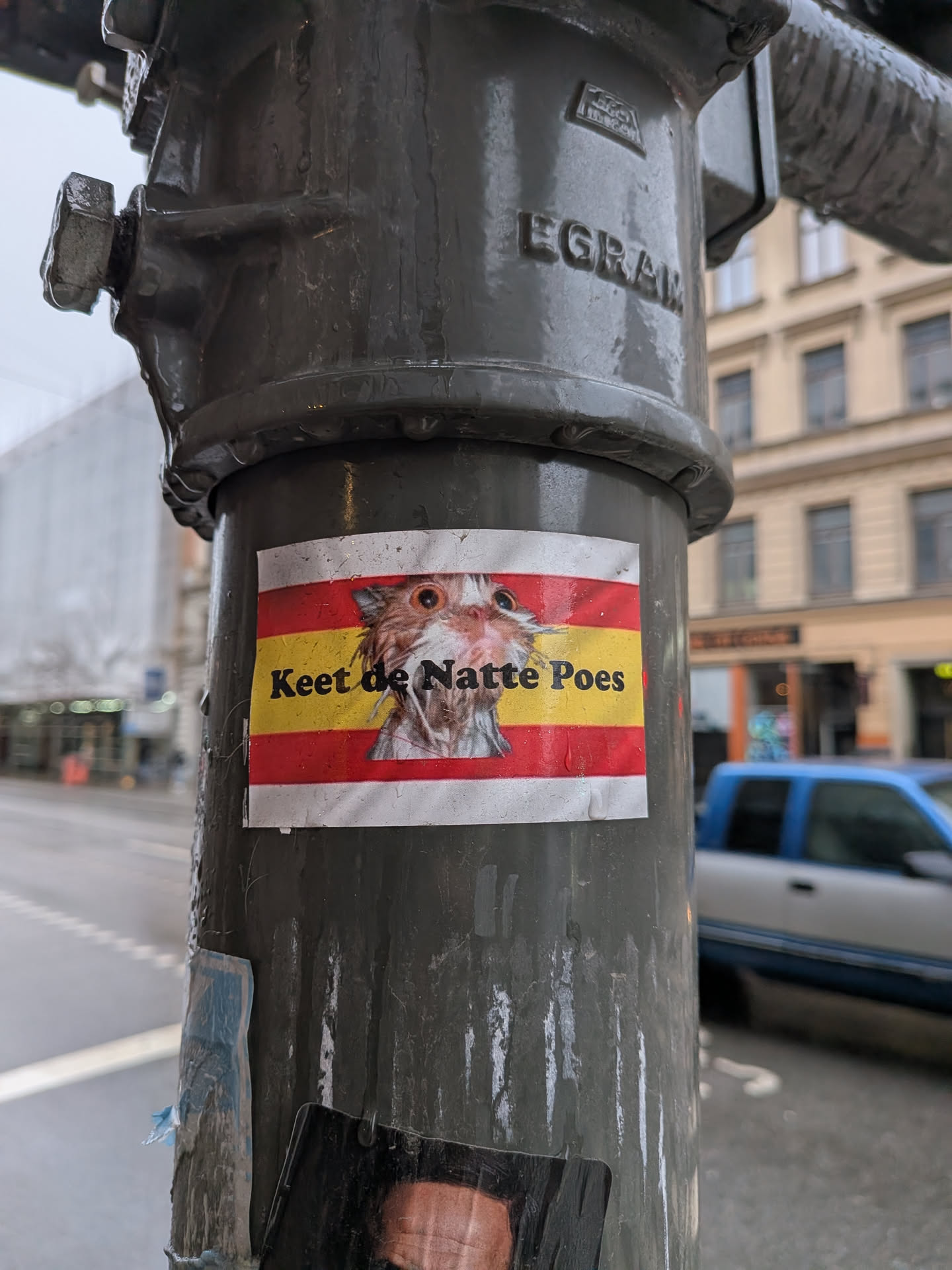 The sticker features a central image of a wet, disheveled cat with wide, orange eyes, set against a background resembling the Spanish flag, composed of two red horizontal stripes at the top and bottom, and a wider yellow stripe in the middle. Black text is overlaid on the yellow stripe, partially obscuring the cat's body. The sticker shows signs of wear, including some peeling and water droplets, indicating it is exposed to the elements on a dark grey, wet pole.