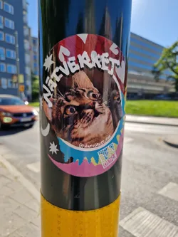 Street sticker Round sticker featuring a close-up of a tabby cat's face. The cat appears surprised or curious.  Surrounding the cat image is a colorful design with text that reads "NATTVÄRKET" in a stylized font and a QR code in the lower right corner. The colors are bright and playful.
