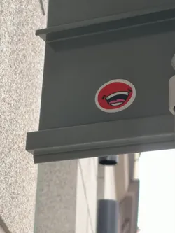 Street sticker The sticker is an oval shape with a vibrant red background, encircled by a clean white border. Dominating its center is a stylized, wide-open mouth, depicted in a clear laughing expression. The mouth cavity is rendered in black, contrasting with bright white teeth and a visible pink tongue. Small, curved black lines are positioned on either side of the mouth, suggesting crinkled eyes or cheeks, which amplify the joyful and humorous appearance.