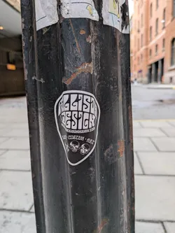 Street sticker A black and white, guitar-pick-shaped sticker featuring stylized 'SALLISON DESIGN' text, a website URL, the words 'ROCK • CUSTOM • ART', and three skulls at the bottom.