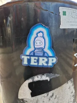 Street sticker A sticker featuring a cartoon character wearing a balaclava and a beanie. The character is surrounded by a rainbow-like design, and the word "TERP" is written below it in pixel font.