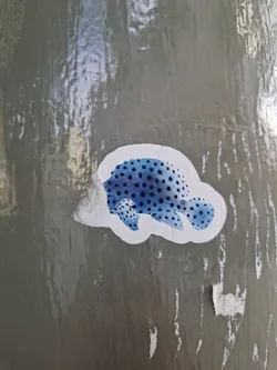 A sticker of a blue fish with black spots is stuck on a grey wall. The fish is swimming to the right. The sticker is slightly worn and creased.