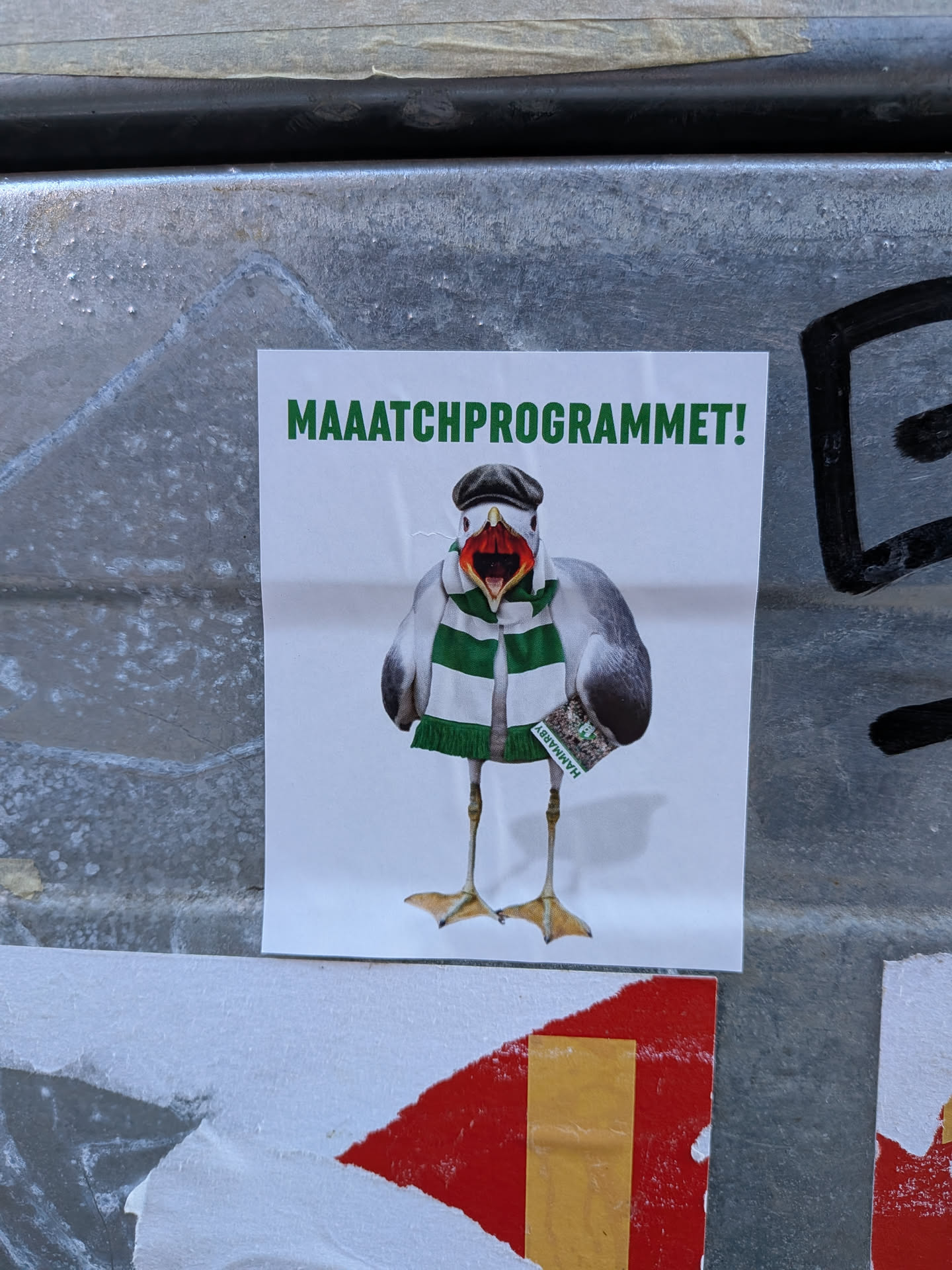 A rectangular white sticker featuring an anthropomorphic seagull standing upright. The seagull has its beak wide open as if shouting, and is wearing a dark flat cap and a green and white striped football scarf. The word 'HAMMARBY' is visible in green text on the scarf. Above the seagull, in bold green capital letters, is the text 'MAAATCHPROGRAMMET!'. The sticker is adhered to a textured metallic surface, showing some minor creases and wear.