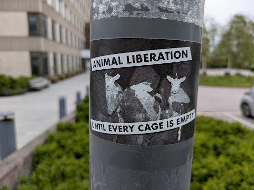 A black and white sticker on a pole features three lambs held by people in hooded robes. Text on the sticker reads "Animal Liberation" and "Until Every Cage Is Empty".
