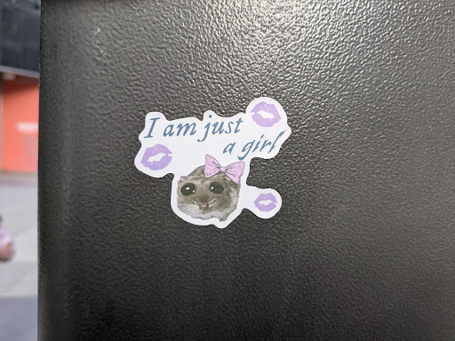 Street sticker A sticker featuring a cute illustration of an animal, possibly a possum or similar creature, wearing a pink bow.  The text "I am just a girl" is written above the animal, accompanied by small purple lip prints.