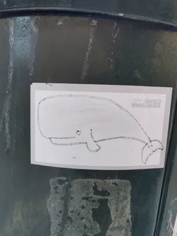 Street sticker Hand-drawn whale sticker on a dark green bin. The sticker is rectangular with rounded corners and features a simple line drawing of a whale.  Text on the sticker reads "MONTANA CANS".