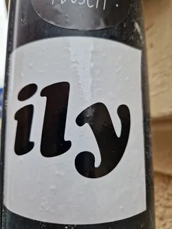 Street sticker A simple sticker with the abbreviation "ILY" (I Love You) in a stylized font. The sticker is white with black text and is affixed to a dark-colored surface.