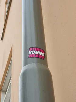 A sticker with the text "STUPID YOUNG HEART" in pink lettering on a white background, affixed to a grey pipe on a building. The text is stylized with a bold font.