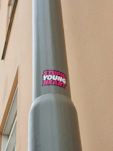 Street sticker STUPID YOUNG HEART