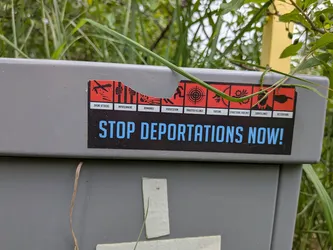 Street sticker A rectangular sticker with a black bottom half featuring the blue text 'STOP DEPORTATIONS NOW!'. The top half displays a row of red icon squares depicting state violence and human rights abuses, each with a white label underneath. The sticker is partially torn at the top.