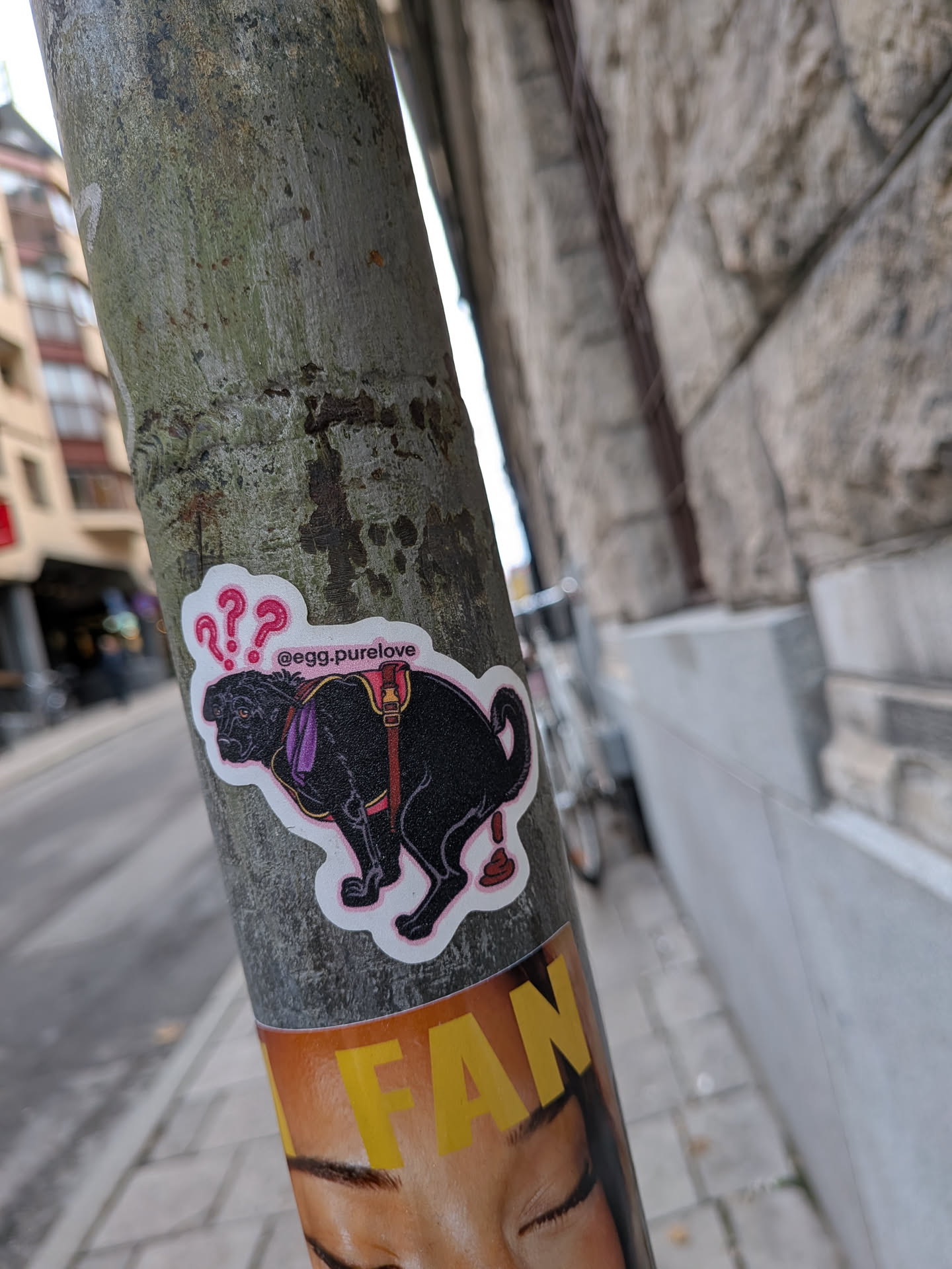 The sticker features a black dog, possibly a Labrador or similar breed, in the process of defecating. The dog is wearing a purple collar and a red harness with gold buckles. Above the dog's head are three pink question marks, suggesting confusion or surprise. The sticker has a white border and is placed on a textured, grey pole. The overall style is illustrative and somewhat cartoonish.