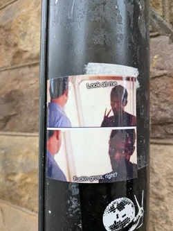 Street sticker A rectangular sticker featuring a two-panel meme from the movie 'Get Out'. The top panel shows Chris Washington making a peace sign gesture, looking towards another man's back, with the text 'Look at me' above him. The bottom panel shows Chris looking directly forward with an uncomfortable expression, accompanied by the text 'Fuckin gross, right?'. The background is a light, neutral color, and the figures are depicted in naturalistic tones. The sticker is adhered to a textured black pole and shows some signs of wear and slight creasing.