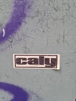 A rectangular sticker with the word 'caly' printed in a bold, uppercase, sans-serif font. The sticker has a slightly textured appearance and is adhered to a weathered, grey surface. There are visible purple spray paint markings in the surrounding area.