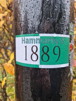 A sticker featuring the text "Hammarby 1889", with the text split between a white and green background. The sticker is affixed to a dark-colored pole covered in water droplets.