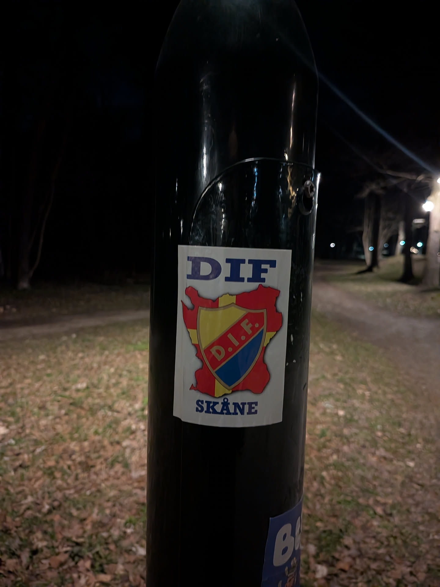 The sticker is rectangular with slightly rounded corners, featuring a white background. At the top, in bold dark blue capital letters, is the text "DIF". Below this, a central emblem is displayed, shaped like a stylized map or regional outline, predominantly red. Within this red outline, there is a shield-like crest. The crest is divided into three sections: the top-left is yellow with a red 'D', the top-right is red with a yellow 'I', and the bottom section is blue with a yellow 'F'. The letters 'D.I.F.' are clearly visible within the shield. Below the main emblem, in bold dark blue capital letters, is the word "SKÅNE". The overall color scheme includes red, yellow, blue, and white, with dark blue text.