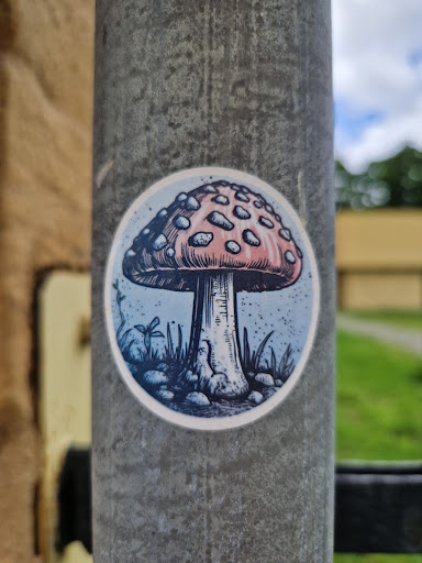 Street sticker 