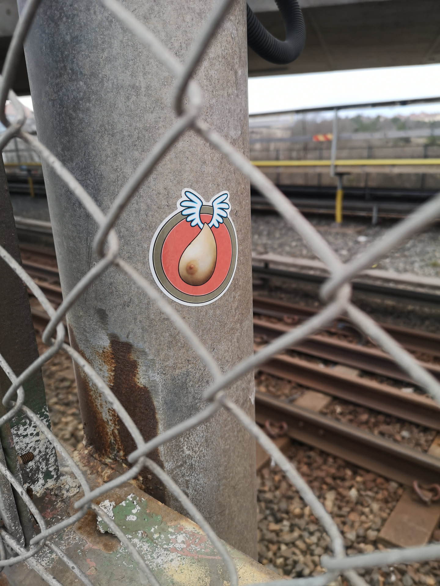 The sticker is circular, featuring a prominent white outer border. Inside, there's a thin black line, followed by a light grey ring, a darker grey-brown ring, and an inner red-orange circle. At the center of this red-orange circle is a stylized, light-skinned breast with a brown nipple. Attached to the top of the breast are two cartoon-style wings, predominantly white with light blue outlines and feather details, giving the impression of flight.