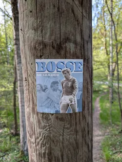 Street sticker The sticker is a vertically oriented rectangle featuring a central image of a fair-haired male athlete, identified as Bo Larsson. He is depicted in a vintage football kit, consisting of a long-sleeved reddish-brown shirt with a 'Malmö FF' crest on the chest and white shorts. He stands with a slight turn, looking towards his left. Behind him, other figures, likely teammates or a crowd, are visible in a muted, grayscale tone, creating a background effect. Above the main figure, the name 'BOSSE' is prominently displayed in large, stylized blue letters with a white outline, giving a three-dimensional appearance. Below 'BOSSE', the full name 'BO LARSSON' is written in smaller, simpler blue text. The sticker appears to be adhered to a wooden pole, showing slight wear and a gentle curl at its bottom edge.