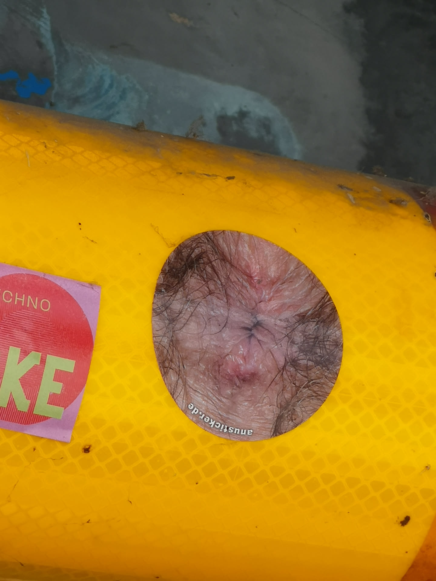 A round sticker featuring a close-up photograph of a hairy human anus. The website URL 'anusticker.de' is printed in white along the bottom edge.