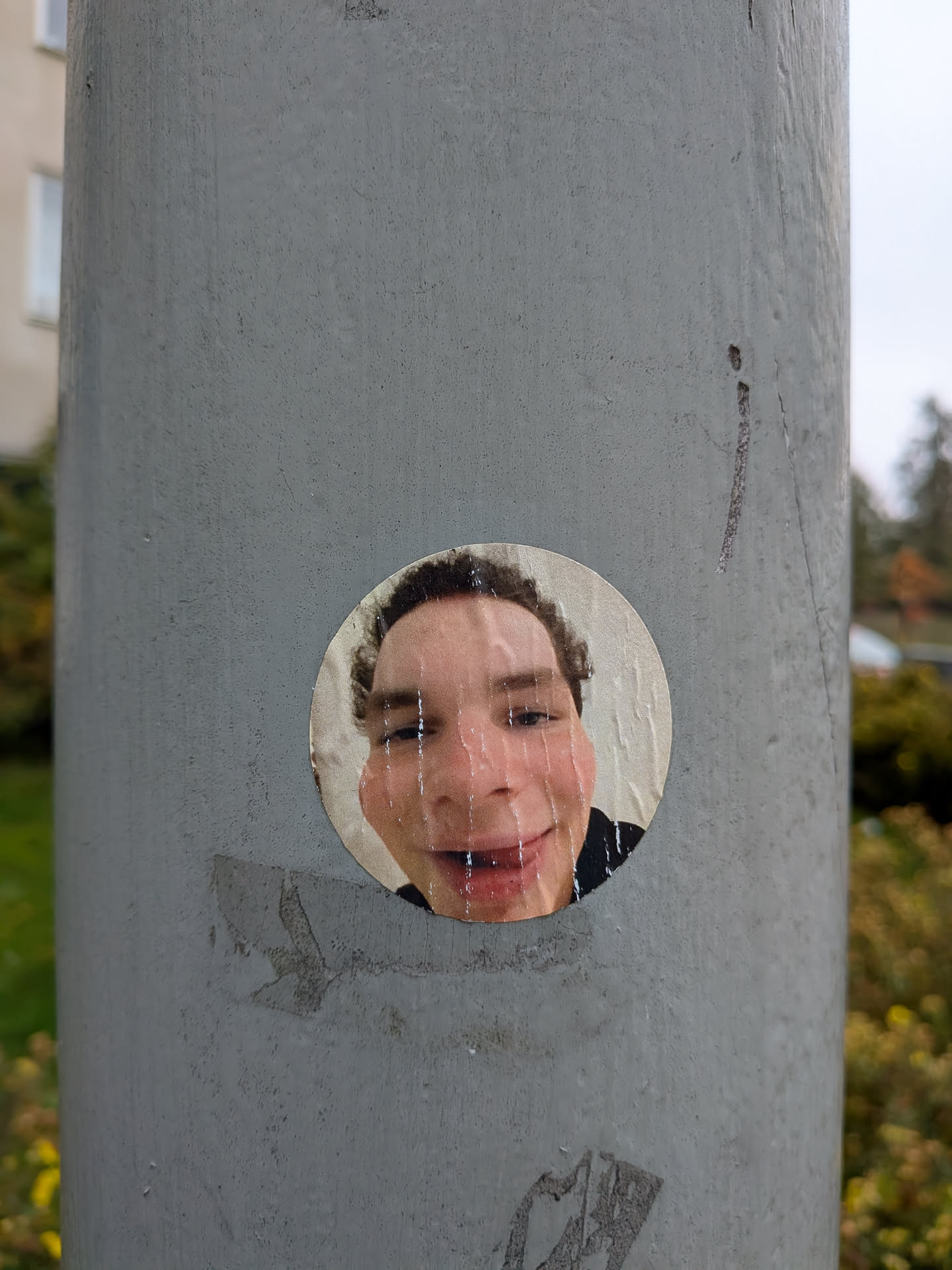 Street sticker The sticker is circular and features a close-up of a person's face, distorted by a wide-angle lens. The face is smiling broadly, with visible teeth and a slightly squashed appearance. The skin tone is light, and the hair is dark and curly. The sticker appears to be slightly creased and peeling at the edges, indicating it has been applied to a surface. The background of the sticker is a light, off-white color. The overall impression is one of playful or humorous intent.