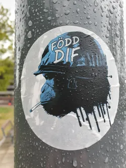 Street sticker A round sticker featuring a stylized illustration of a chimpanzee wearing a helmet. The helmet has the text "FÖDD DIF" written on it. The chimpanzee appears to be smoking a cigarette. The style is reminiscent of street art or graffiti.