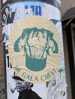Street sticker A round sticker featuring an illustration of a person ripping open their jacket to reveal a large chest. The text "The Gala Chest" is written around the illustration. 