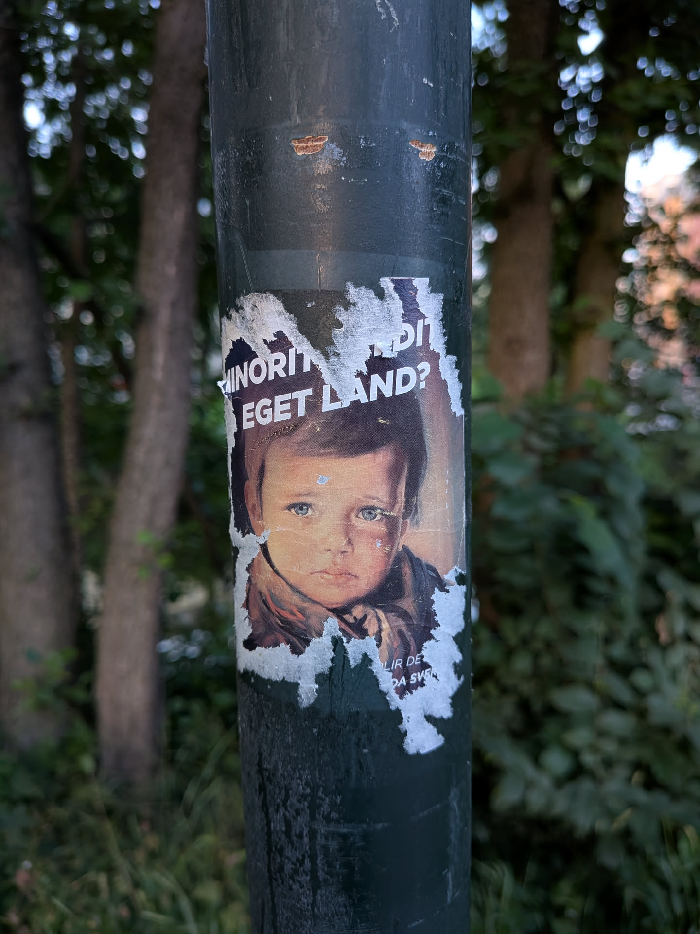 A damaged paper sticker on a green pole. It depicts a crying young boy with blue eyes and tears. White text is printed above and below the portrait, but the edges are heavily torn.