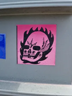 A pink sticker with a black illustration of a skull engulfed in flames. The skull is adorned with crystals and floral details. 