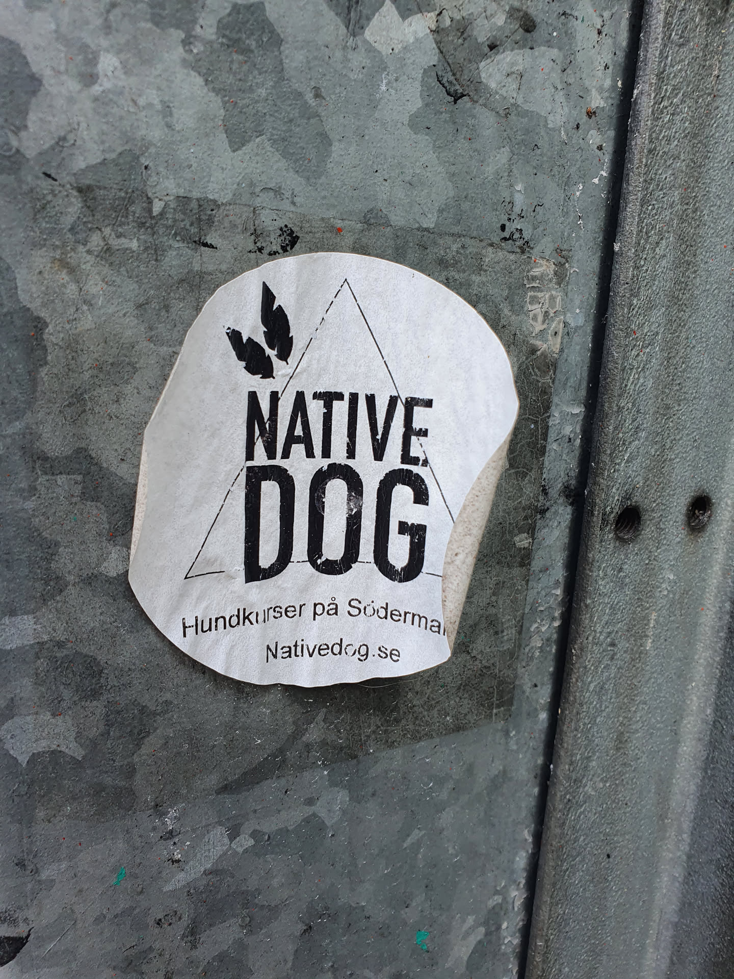 A sticker for Native Dog, a dog training business located in Södermalm.  The sticker features a logo with three leaves and the text "NATIVE DOG" in a triangular design.