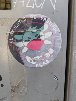 A round sticker featuring a cartoon axolotl with a red mask, inside a circle with the text 'ALL AXOLOTLS ARE BEAUTIFUL' and 'A.C.A.B.' at the bottom.